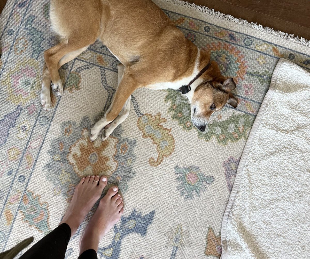 Honey lounging on a rug